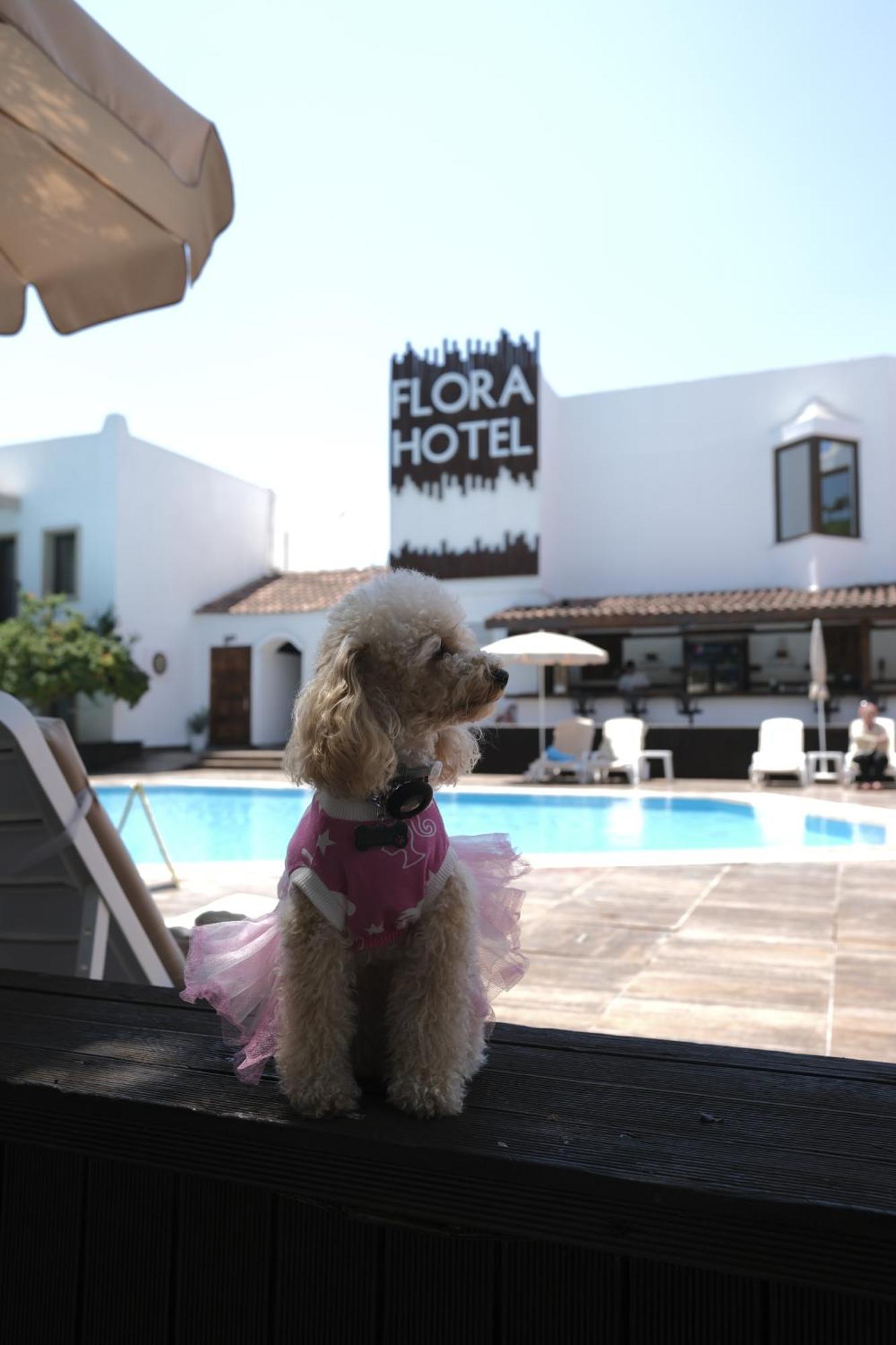 Flora Hotel Gümbet Exteriér fotografie
